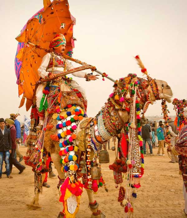 Pushkar Fair Tour Package